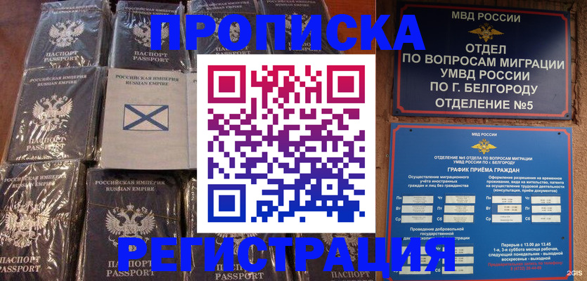 прописка гарантия в Оренбурге